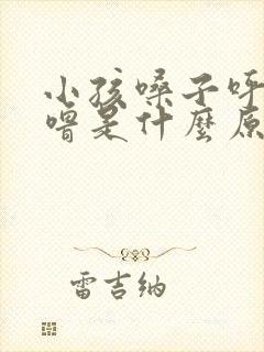 小孩嗓子呼噜呼噜是什么原因