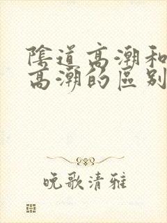 阴道高潮和外阴高潮的区别