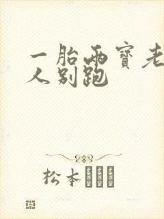 一胎两宝老婆大人别跑