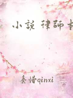 小说 律师本色