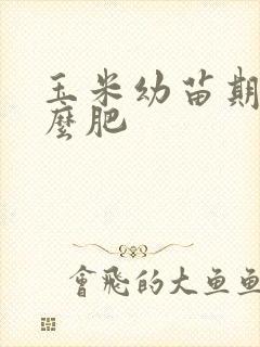 玉米幼苗期施什么肥