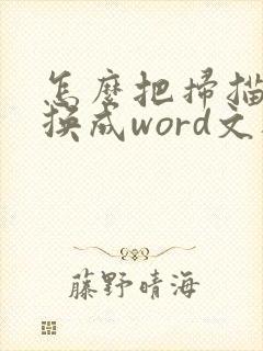 怎么把扫描件转换成word文档