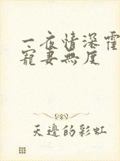 一夜情深霍先生宠妻无度