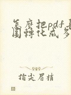 怎么把pdf长图转化成多张图片