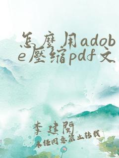 怎么用adobe压缩pdf文件大小