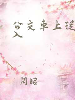 公交车上从后插入
