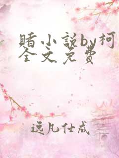 赌小说by柯煜全文免费