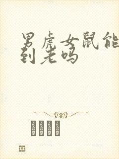 男虎女鼠能白头到老吗