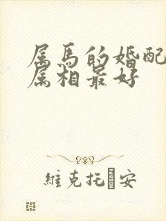 属马的婚配什么属相最好