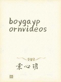 boygaypornvideos