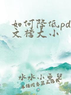 如何降低pdf文档大小