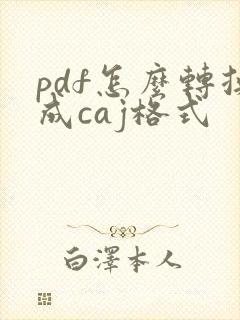 pdf怎么转换成caj格式