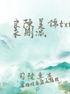 良陈美锦txt未删减