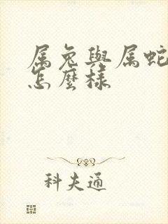 属兔与属蛇婚姻怎么样