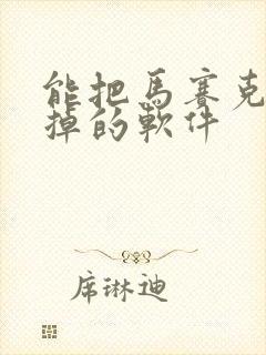 能把马赛克给去掉的软件