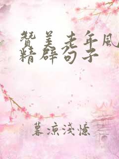 赞美老年风采的精辟句子