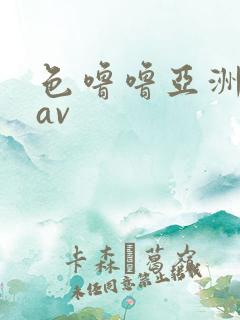 色噜噜亚洲综合av
