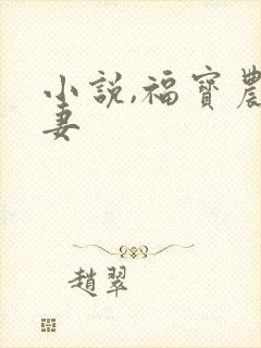 小说,福宝农家妻