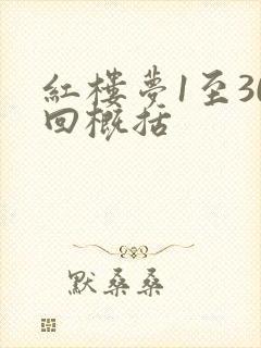 红楼梦1至30回概括