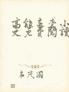 高能来袭小说全文免费阅读全文
