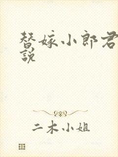替嫁小郎君 小说