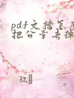 pdf文档怎么把公章去掉啊