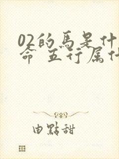 02的马是什么命 五行属什么