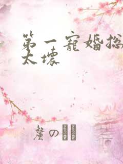 第一宠婚总裁别太坏