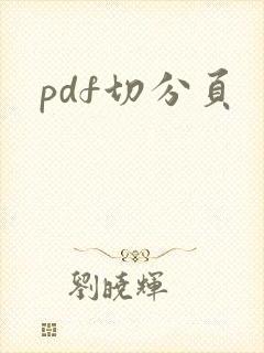 pdf切分页
