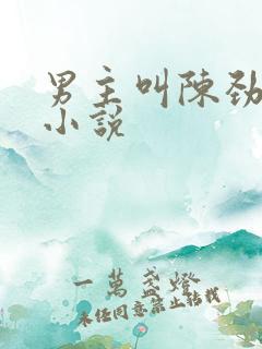 男主叫陈劲生的小说