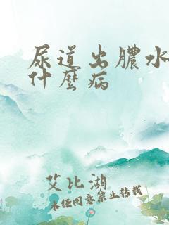 尿道出脓水出来什么病