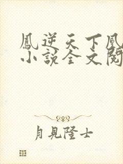 凤逆天下凰北月小说全文阅读