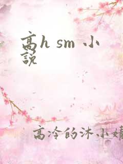 高h sm 小说