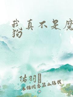 我真不是魔神走狗