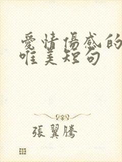 爱情伤感的句子唯美短句