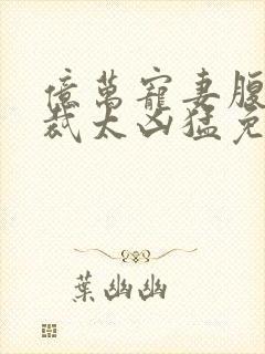 亿万宠妻腹黑总裁太凶猛免费版