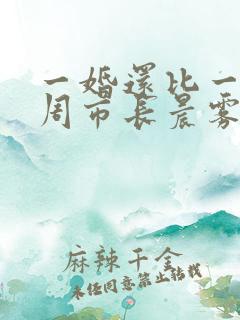 一婚还比一婚高周市长晨雾的光