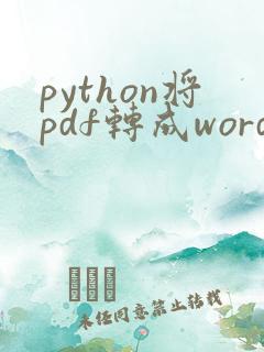 python将pdf转成word