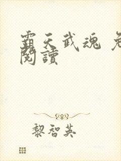 霸天武魂 免费阅读