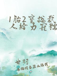 1胎2宝总裁大人给力宠糯米粽