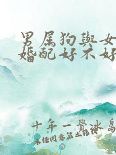男属狗与女属马婚配好不好