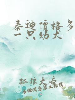泰迪价格多少钱一只幼犬