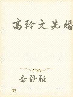 高干文先婚后爱