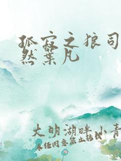 孤寂之狼司空嫣然叶凡