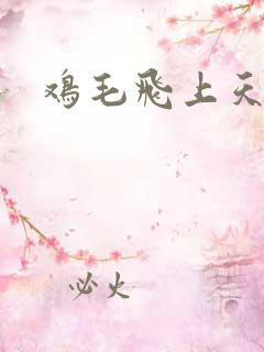 鸡毛飞上天高清