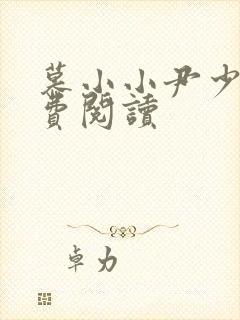 慕小小尹少桀免费阅读