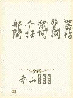 哪个浏览器能打开任何网站