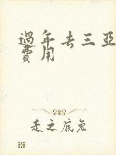过年去三亚租车费用