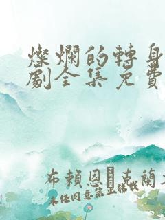 灿烂的转身电视剧全集免费