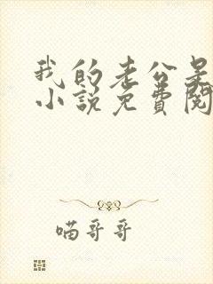 我的老公是冥王小说免费阅读